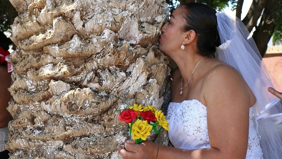 Οι γυναίκες στο Μεξικό… Παντρεύονται τα δέντρα.