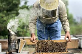 Δημος Πεντελης:«Δράσεις ενημέρωσης των μελισσοκόμων για τον περιορισμό του κινδύνου  εκδήλωσης πυρκαγιάς».
