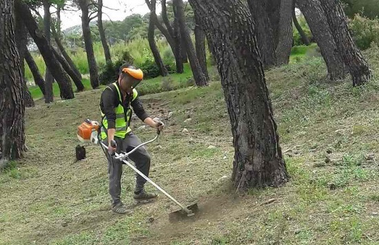 Σ.Π.Α.Π.: Καθαρισμοί και αποψιλώσεις αστικών και περιαστικών περιοχώνστο Δήμο Πεντέλης