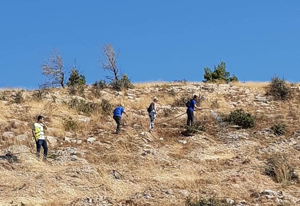 Ολοκληρώθηκε με επιτυχία το 2ο Εθελοντικό Πότισμα για το 2019 στο Πεντελικό, σε συνεργασία με το Όλοι Μαζί Μπορούμε και στο Περιβάλλον