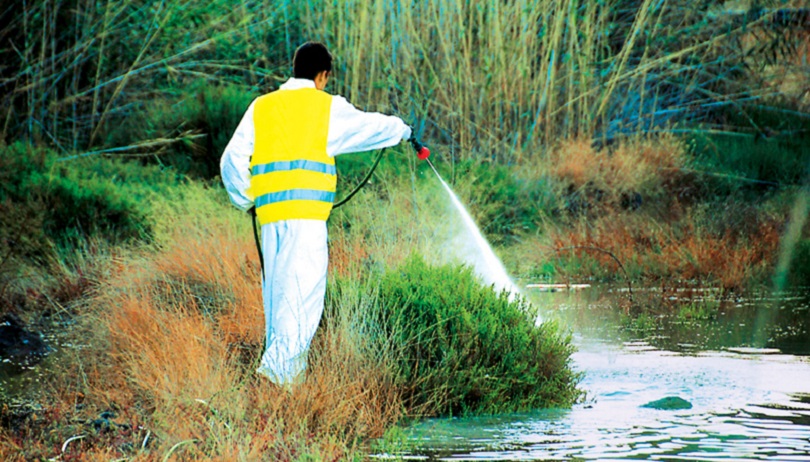 Τακτικοί ψεκασμοί κατά των κουνουπιών και έκκληση λήψης μέτρων προστασίας από τον Δήμο Βριλησσίων προς τους δημότες