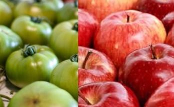 Ερευνά Πανεπιστήμιου της Αϊόβα: Τα φρούτα και τα λαχανικά που εμποδίζουν την απώλεια μυϊκής μάζας