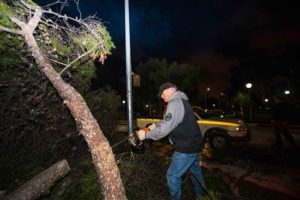 ‎ ΠΟΛΙΤΙΚΗ ΠΡΟΣΤΑΣΙΑ ΔΗΜΟΥ ΒΡΙΛΗΣΣΙΩΝ: ΑΜΕΣΗ ΚΙΝΗΤΟΠΟΙΗΣΗ ΠΤΩΣΗ ΔΕΝΤΡΟΥ ΧΤΕΣ ΤΟ ΑΠΟΓΕΥΜΑ