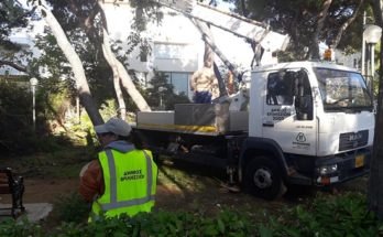 Άμεση ήταν η επέμβαση σήμερα το πρωί του συνεργείου πράσινου του Δήμου Βριλησσίων την οδό Γράμμου και 28 Οκτωβρίου όταν έπεσε ένα μεγάλο πεύκο
