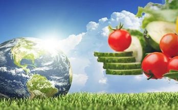 Νέα έρευνα: Η vegan διατροφή κάνει καλό στο περιβάλλον