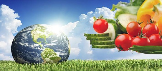 Νέα έρευνα: Η vegan διατροφή κάνει καλό στο περιβάλλον