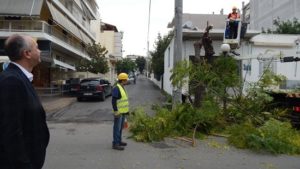 Μεταμόρφωση: Πραγματοποιήθηκε η δράση "Καθαρές Γειτονιές" στην οδό Πευκών.