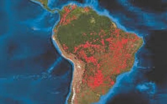 Η αποψίλωση των δασών στον Αμαζόνιο σύμφωνα με το Εθνικό Ινστιτούτο Διαστημικών Ερευνών της Βραζιλίας (INPE)για τους μήνες Νοεμβρίου και του Δεκεμβρίου 2019 εκτοξεύτηκε περιέργως .