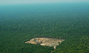Η αποψίλωση των δασών στον Αμαζόνιο σύμφωνα με το Εθνικό Ινστιτούτο Διαστημικών Ερευνών της Βραζιλίας (INPE)για τους μήνες Νοεμβρίου και του Δεκεμβρίου 2019 εκτοξεύτηκε περιέργως .