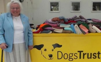Μια 89χρονη φιλόζωη γιαγιά πλέκει 450 κουβέρτες για καταφύγιο αδέσποτων σκύλων