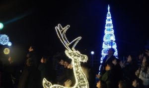 Φωταγώγηση του Χριστουγεννιάτικου Δέντρου του Δήμου Μεταμόρφωσης.
