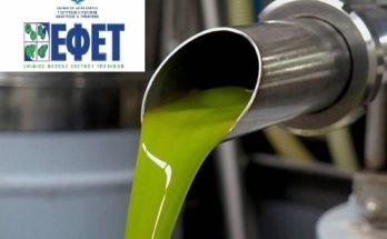 Ο ΕΦΕΤ εντόπισε εταιρείες που χρωμάτιζαν το σπορέλαιο και το πούλαγαν για ελαιόλαδο.