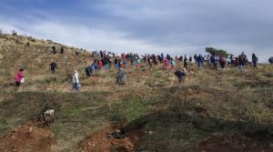 Στην αναδάσωση  του ΣΠΑΠ  και του ΣΚΑΪ  στην Πεντέλη έδωσε το παρόν ο Υπουργός Κωστής Χατζιδάκης