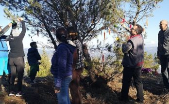 Δήμος Πεντέλης : Πρωτότυπη πεζοπορία με τίτλο «υποδεχόμαστε τα Χριστούγεννα στο Πεντελικό»