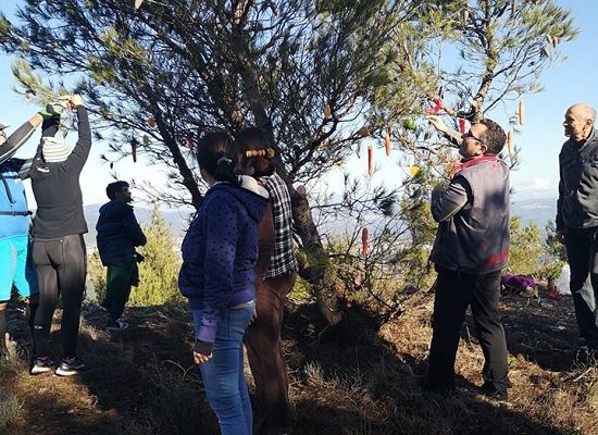 Δήμος Πεντέλης : Πρωτότυπη πεζοπορία με τίτλο «υποδεχόμαστε τα Χριστούγεννα στο Πεντελικό»