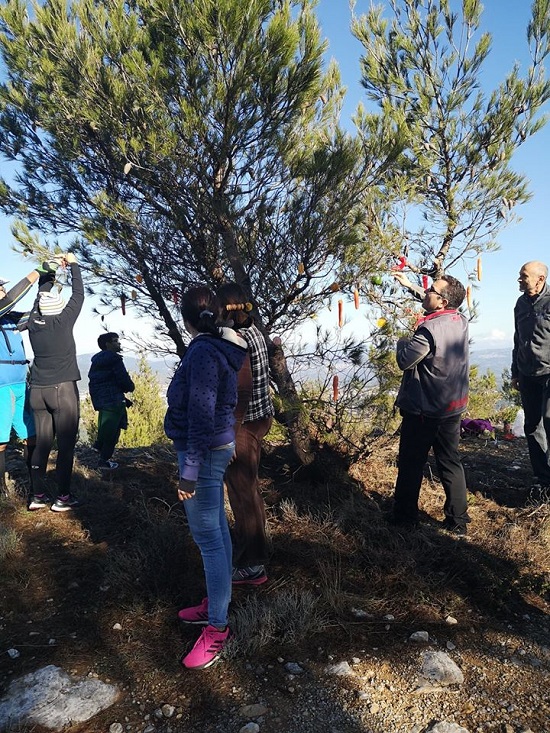 Δήμος Πεντέλης : Πρωτότυπη πεζοπορία με τίτλο «υποδεχόμαστε τα Χριστούγεννα στο Πεντελικό»