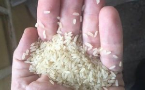 Ξεχωρίστε το φυσικό ρύζι από την απομίμηση που περιέχει πλαστικό
