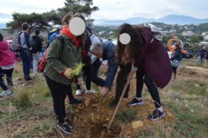  Η  6η αναδάσωση για το 2019 στην Νταού Πεντέλη  έγινε με την συμμετοχή πολλών εκατοντάδων μαθητών ιδιωτικών και δημόσιων σχολείων!