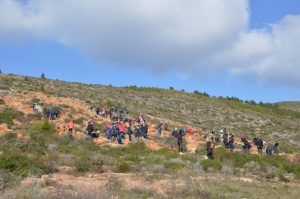 Με επιτυχία πραγματοποιήθηκε η 1η Εθελοντική Δράση Αναδάσωσης (Μαθητική) για το 2020 από τον Σ.Π.Α.Π. και το «Όλοι Μαζί Μπορούμε και στο Περιβάλλον» στη Νταού Πεντέλη.