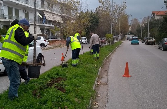 Κηφισιά: Συντήρηση  αλλά και δεντροφύτευση στη νησίδα στην Χαριλάου Τρικούπη