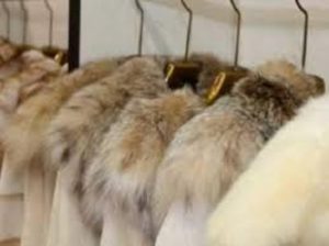 Η Νορβηγία κλείνει όλες τις φάρμες εκτροφής ζώων για γη γούνα