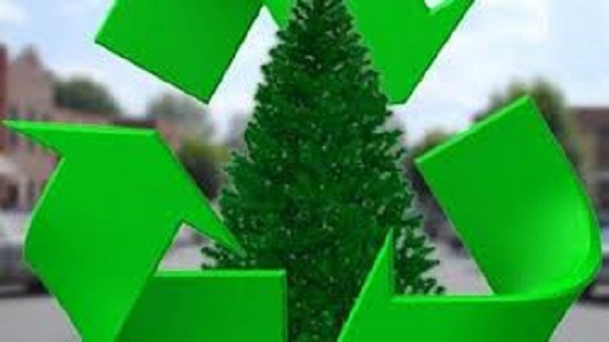 Δήμος Φιλοθέης-Ψυχικού: Συγκέντρωση χριστουγεννιάτικων δέντρων από τον Δήμο για κομποστοποίηση
