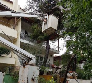 Δήμος Πεντέλης: Έπεσε ένα δέντρο στην οδό Μάνης στη Νέα Πεντέλη