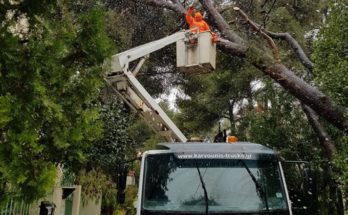 Δήμος Πεντέλης: Έπεσε ένα δέντρο στην οδό Μάνης στη Νέα Πεντέλη
