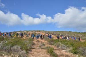 Με επιτυχία πραγματοποιήθηκε η 1η Εθελοντική Δράση Αναδάσωσης (Μαθητική) για το 2020 από τον Σ.Π.Α.Π. και το «Όλοι Μαζί Μπορούμε και στο Περιβάλλον» στη Νταού Πεντέλη.