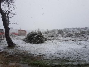 Ειδικό Δημοτικό Σχολείο Πεντέλης