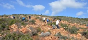 Με μεγάλη επιτυχία πραγματοποιήθηκε η 2η Εθελοντική Δράση Αναδάσωσης για το 2020 από τον Σ.Π.Α.Π. και το «Όλοι Μαζί Μπορούμε και στο Περιβάλλον» 16/2  στη Νταού Πεντέλη.