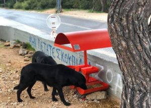 Κορονοϊός : Ο Δήμος Αχαρνών  ταΐσει τα αδέσποτα