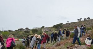 Με επιτυχία πραγματοποιήθηκε  η 4η Εθελοντική Δράση Αναδάσωσης  για το 2020 από τον Σ.Π.Α.Π. και το «Όλοι Μαζί Μπορούμε και στο Περιβάλλον» στη Νταού Πεντέλη.