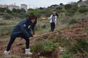 Με επιτυχία πραγματοποιήθηκε  η 4η Εθελοντική Δράση Αναδάσωσης  για το 2020 από τον Σ.Π.Α.Π. και το «Όλοι Μαζί Μπορούμε και στο Περιβάλλον» στη Νταού Πεντέλη.