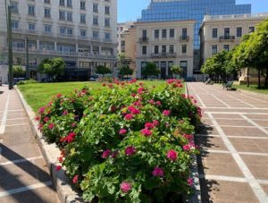 Αθήνα : Με πολύχρωμα λουλούδια και πολλά τραγούδια από την Άλκηστις Πρωτοψάλτη στους δρόμους της πόλης ο Δήμος καλεί τους πολίτες να παραμένουν αισιόδοξοι 