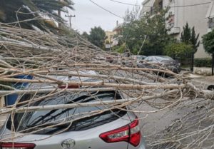 Άλλη μια πτώση δέντρου έχουμε αυτήν την στιγμή στην οδό Πίνδου και Κονιτσης με υλικές ζημιές σε Ι.Χ Αυτοκίνητο. Στο σημείο άμεσα η πολιτική προστασία και το συνεργείο του πρασίνου...