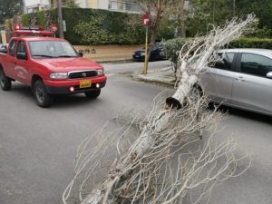Άλλη μια πτώση δέντρου έχουμε αυτήν την στιγμή στην οδό Πίνδου και Κονιτσης με υλικές ζημιές σε Ι.Χ Αυτοκίνητο. Στο σημείο άμεσα η πολιτική προστασία και το συνεργείο του πρασίνου...