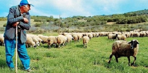 Στηρίξτε τους κτηνοτρόφους και τον πρωτογενή τομέα