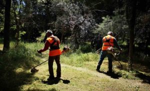 ΣΠΑΥ:  Υμηττός ξεκίνησε η προετοιμασίας για την φετινή αντιπυρική περίοδο