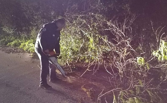 Πεντέλη : Πτώσεις δέντρων από τις άσχημες καιρικές συνθήκες που επικρατούσαν τις βραδινές ώρες στην πόλη Οι κακές καιρικές συνθήκες σε συνδυασμό με τους ισχυρούς αέρηδες που επικρατούσαν τις βραδινές ώρες είχε ως αποτέλεσμα να πέσουν δέντρα σε πολλά σημεία της πόλης . Οι υπηρεσία πρασίνου με την βοήθεια του εθελοντικού κλιμακίου και τους εθελοντές του ΣΠΑΠ ήταν όλο το βράδυ επί ποδός για να μπορέσουν να αντιμετωπίσουν την δύσκολη κατάσταση.