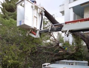 Λυκόβρυση Πεύκη:  Οι δυνατοί άνεμοι έριξαν δέντρα σε διάφορα σημεία της πόλης