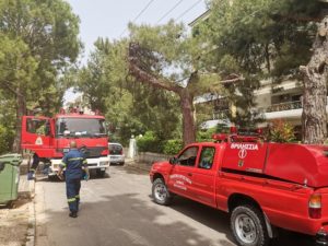 Βριλήσσια: Φωτιά σε πεύκο επί της οδού Δωδεκανήσου