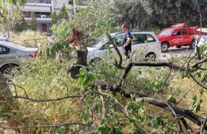 Βριλήσσια: Πτώση δέντρου επάνω σε σταθμευμένα οχήματα