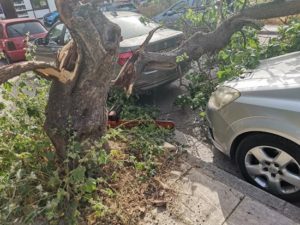 Βριλήσσια: Πτώση δέντρου επάνω σε σταθμευμένα οχήματα