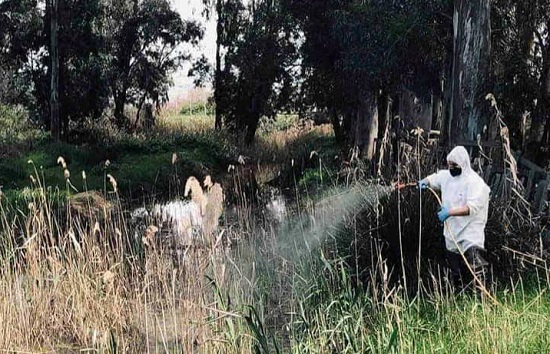 Διόνυσος: Σε πλήρη εξέλιξη το Πρόγραμμα Καταπολέμησης Κουνουπιών στο Δήμο