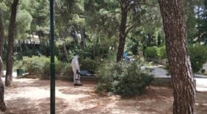 Κηφισιά:  Επαναλαμβάνονται οι προληπτικές απολυμάνσεις σε κοινόχρηστους χώρους, πλατείες