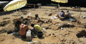 Το αρχαιότερο Κρασί του κόσμου βρέθηκε σε προϊστορικό στην Καβάλα 6.000 ετών