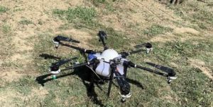 Κρήτη: Με drones οι ψεκασμοί για τον δάκο