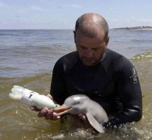 Ουρουγουάη: Μια οργάνωση διάσωσης υιοθέτησε ένα νεογέννητο  ορφανό  δελφίνι