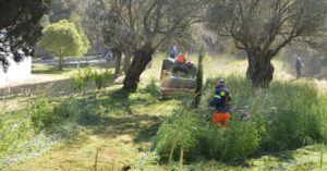 Πεντέλη: Από την εθελοντική δράση καθαρισμού στο Αλσύλλιο του Αγίου Νικολάου απέναντι από την Μονή Πεντέλης